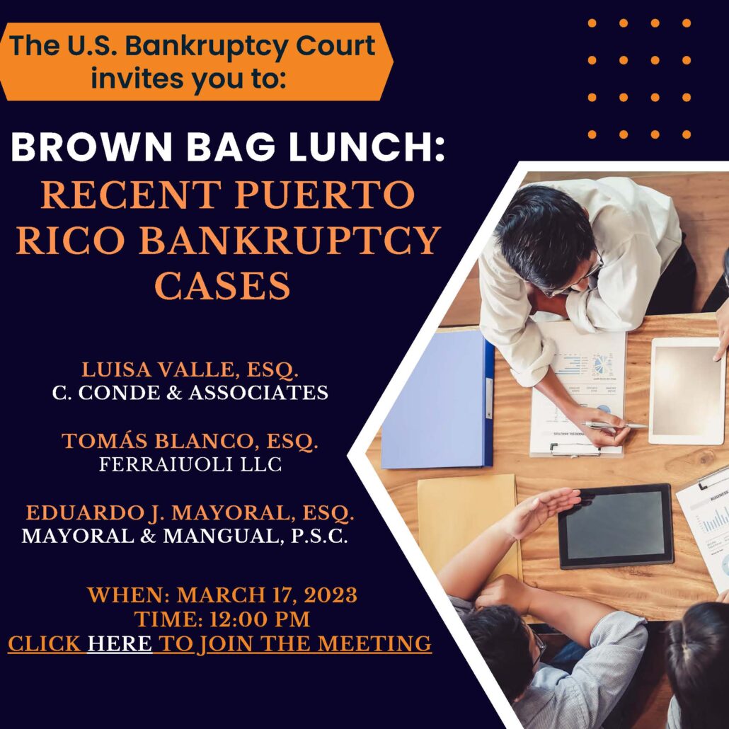 Brown Bag Lunch Recent Puerto Rico Bankruptcy Cases Ferraiuoli